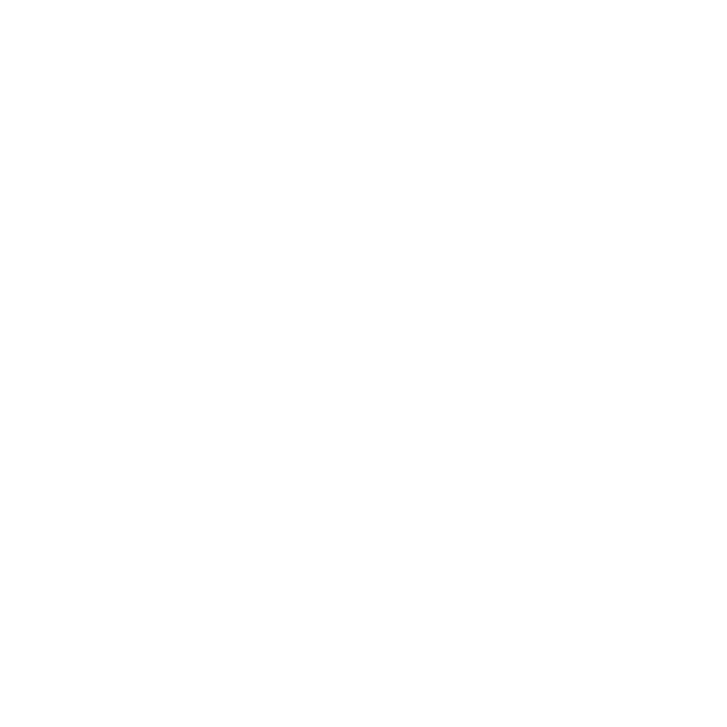 DubNow Logo